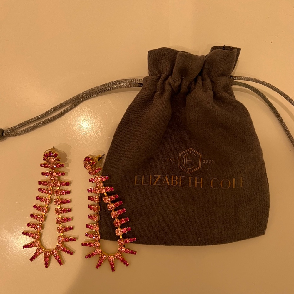 elizabeth cole earrings